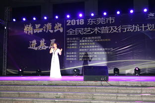 惠民演出暖人心 全民艺术普及行动计划精品演出走进凤岗镇